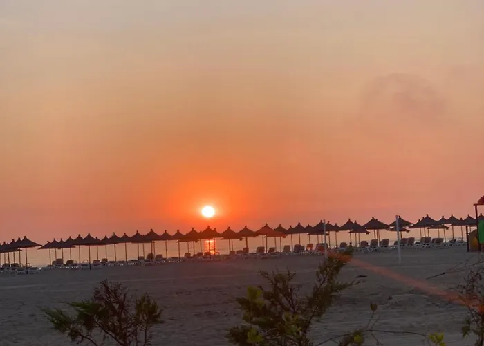 Vala Mar Shima Draç